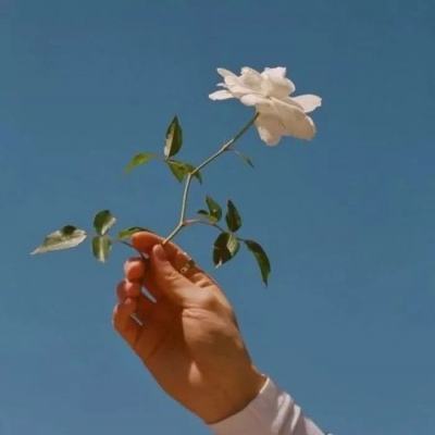 万家小馆手机版下载