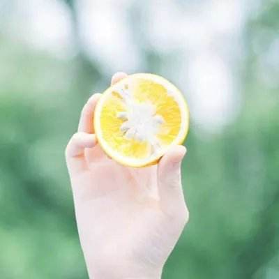 口袋神兽破解版下载